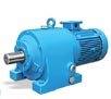 Gear Motor